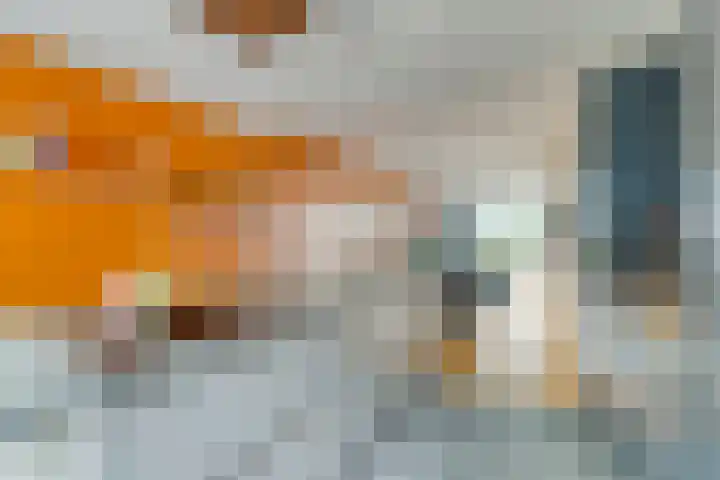 Eenlandsweg 14 Halsteren thumbnail 4