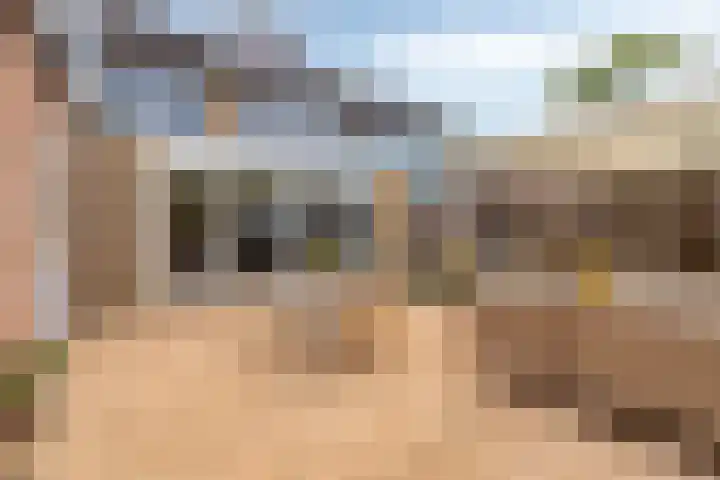 Eenlandsweg 14 Halsteren thumbnail 5