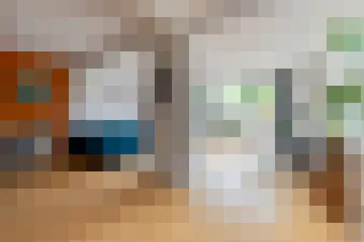 Eenlandsweg 14 Halsteren thumbnail 7