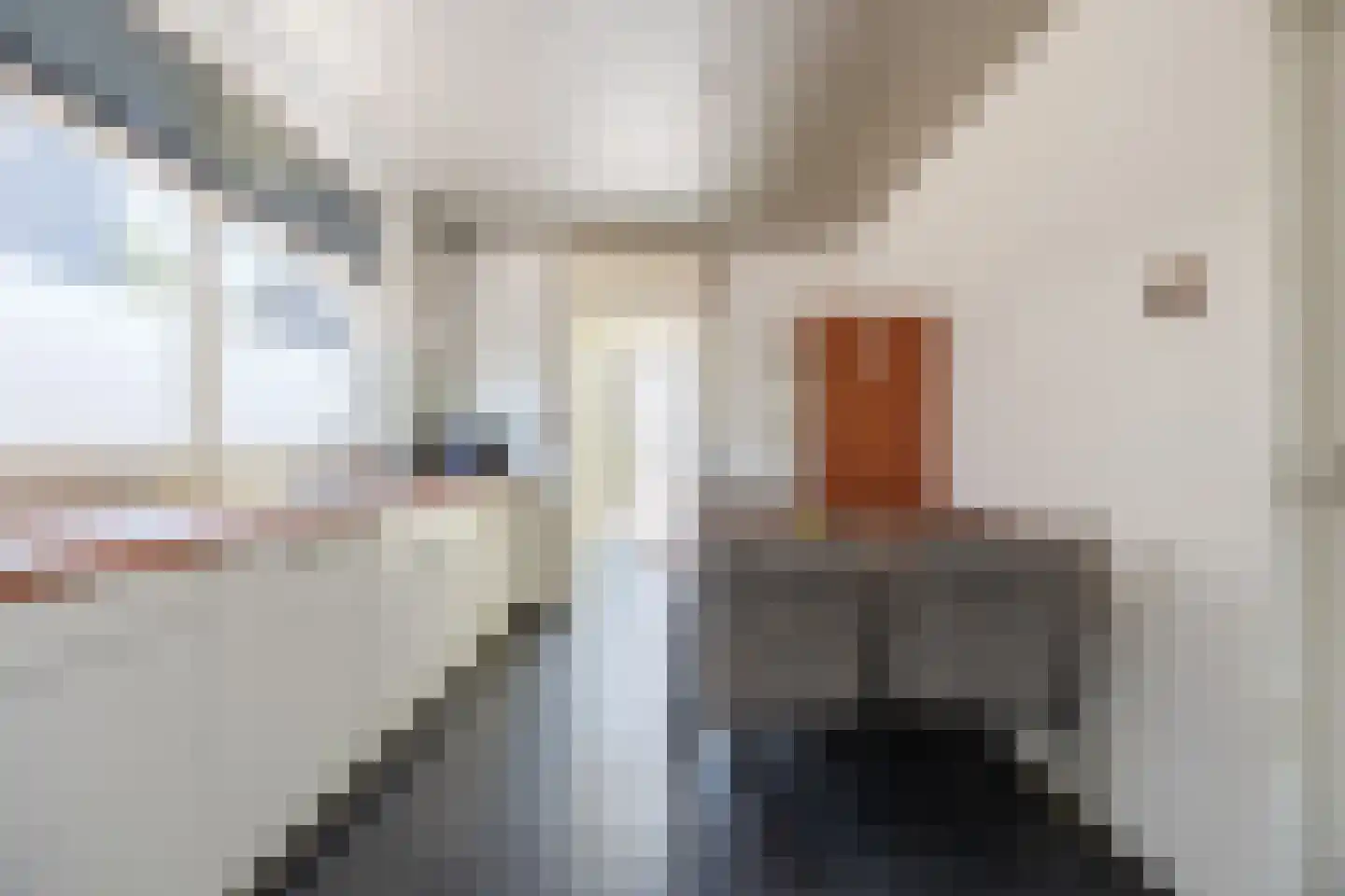 Eenlandsweg 46 Halsteren thumbnail 11