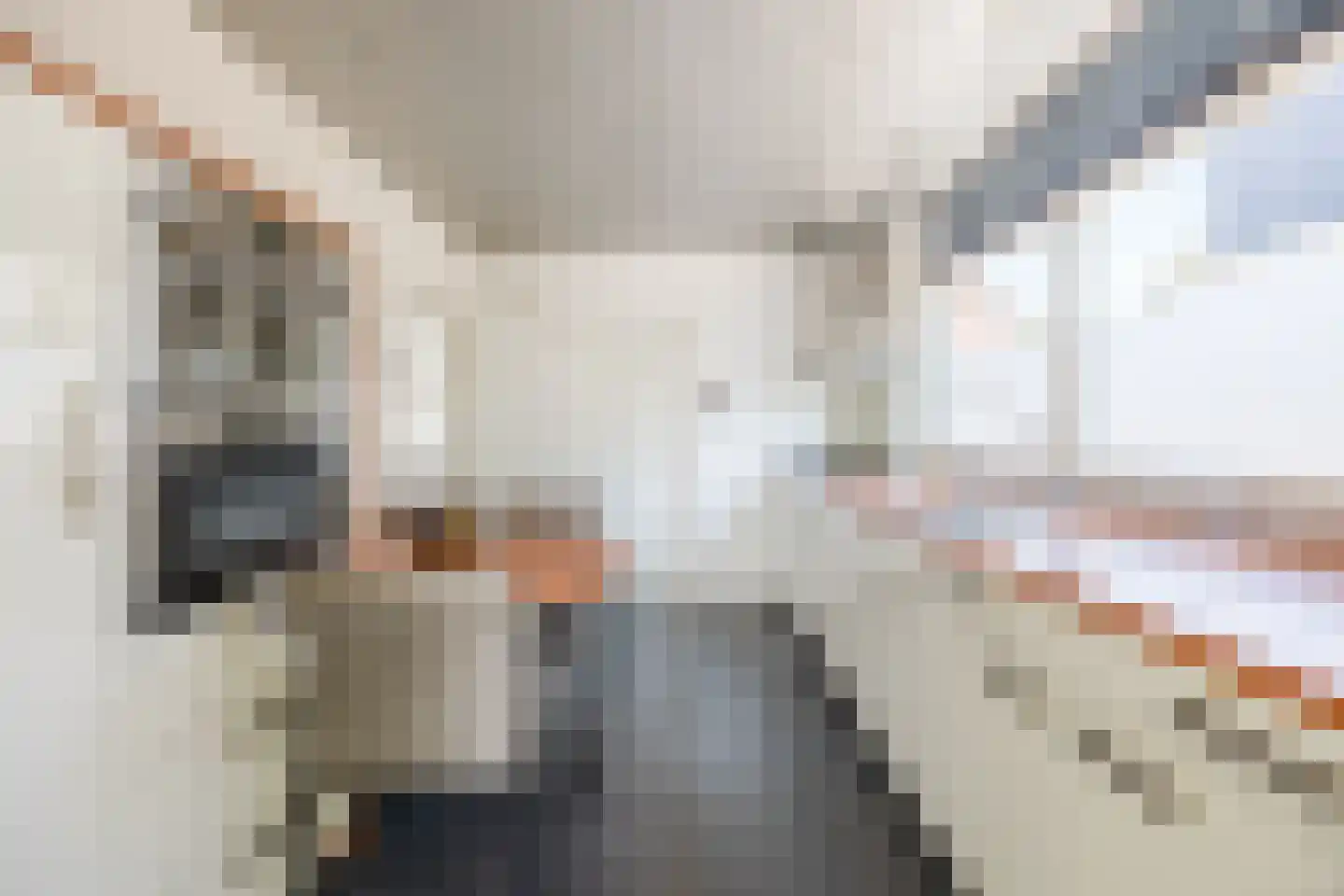 Eenlandsweg 46 Halsteren thumbnail 12