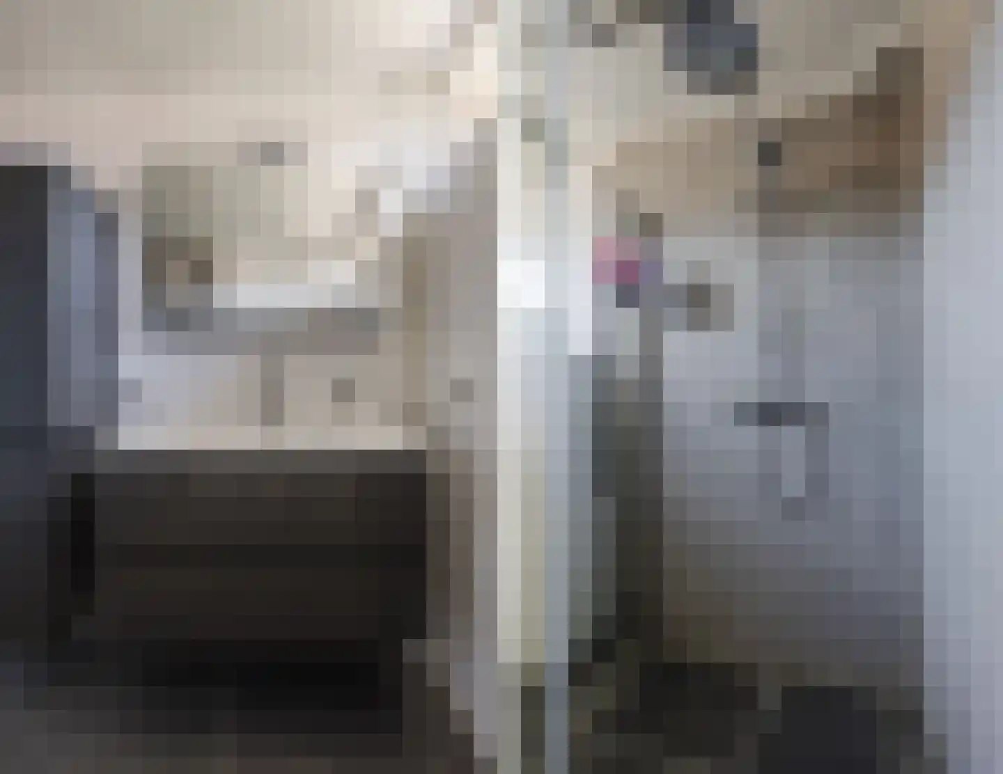 Eenlandsweg 46 Halsteren thumbnail 24