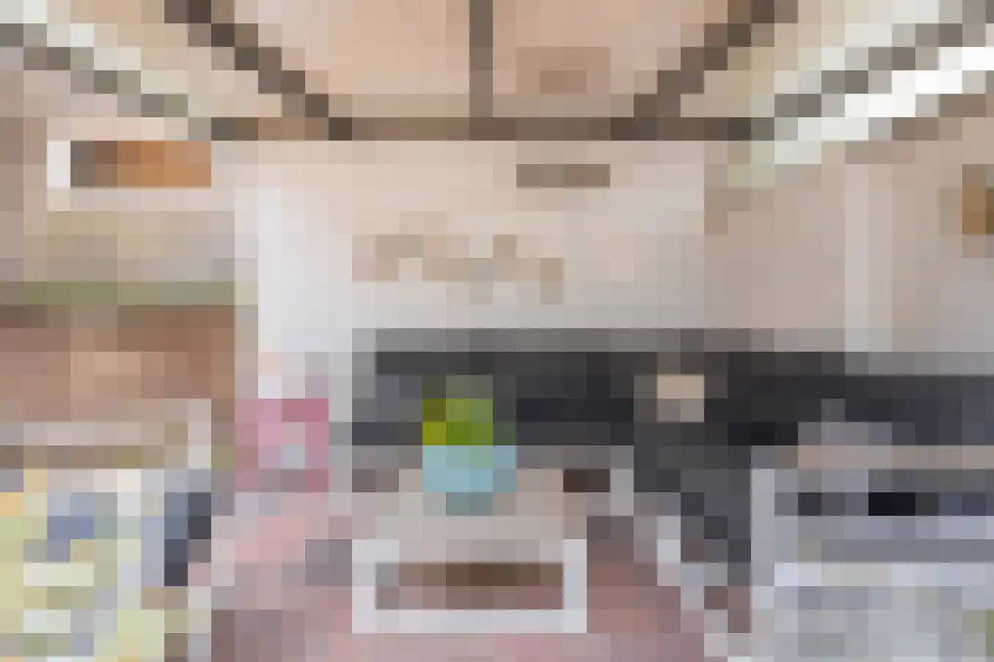 Eenlandsweg 46 Halsteren thumbnail 34