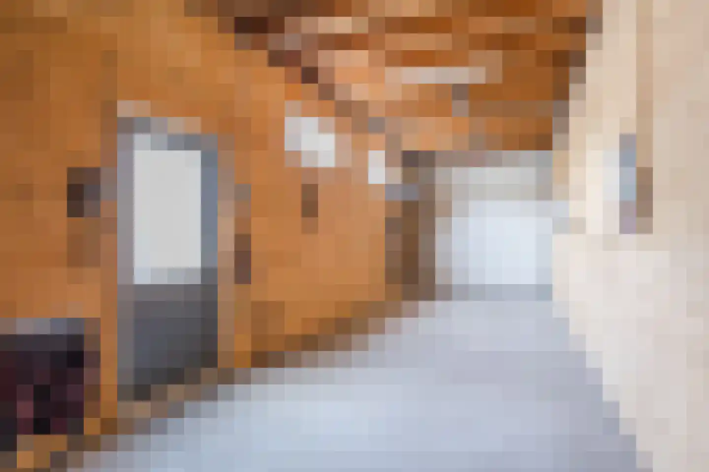 Eenlandsweg 46 Halsteren thumbnail 37