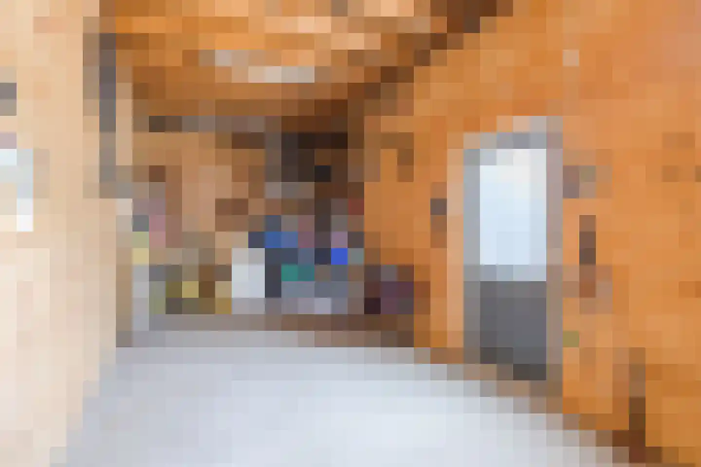 Eenlandsweg 46 Halsteren thumbnail 38