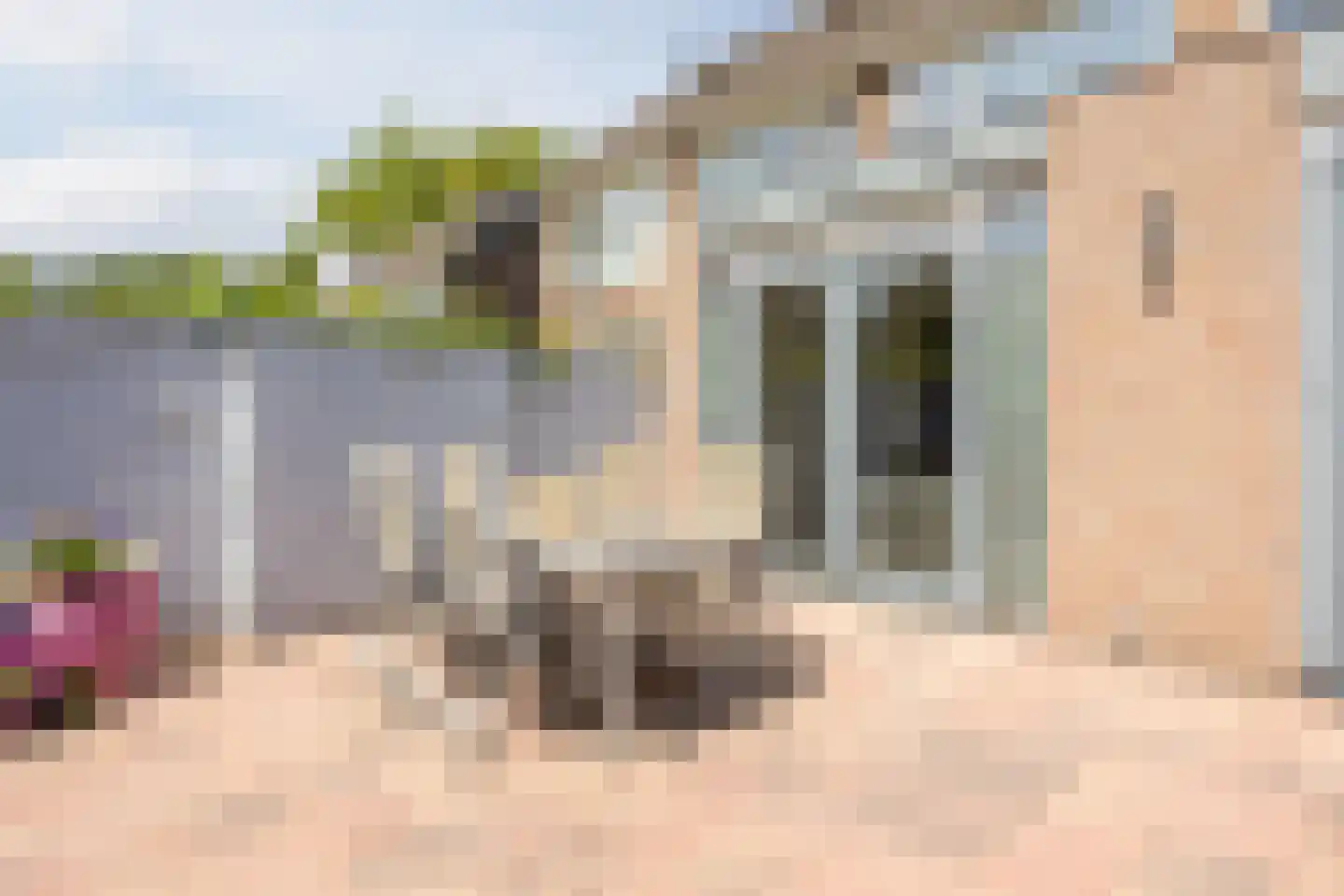 Eenlandsweg 46 Halsteren thumbnail 41