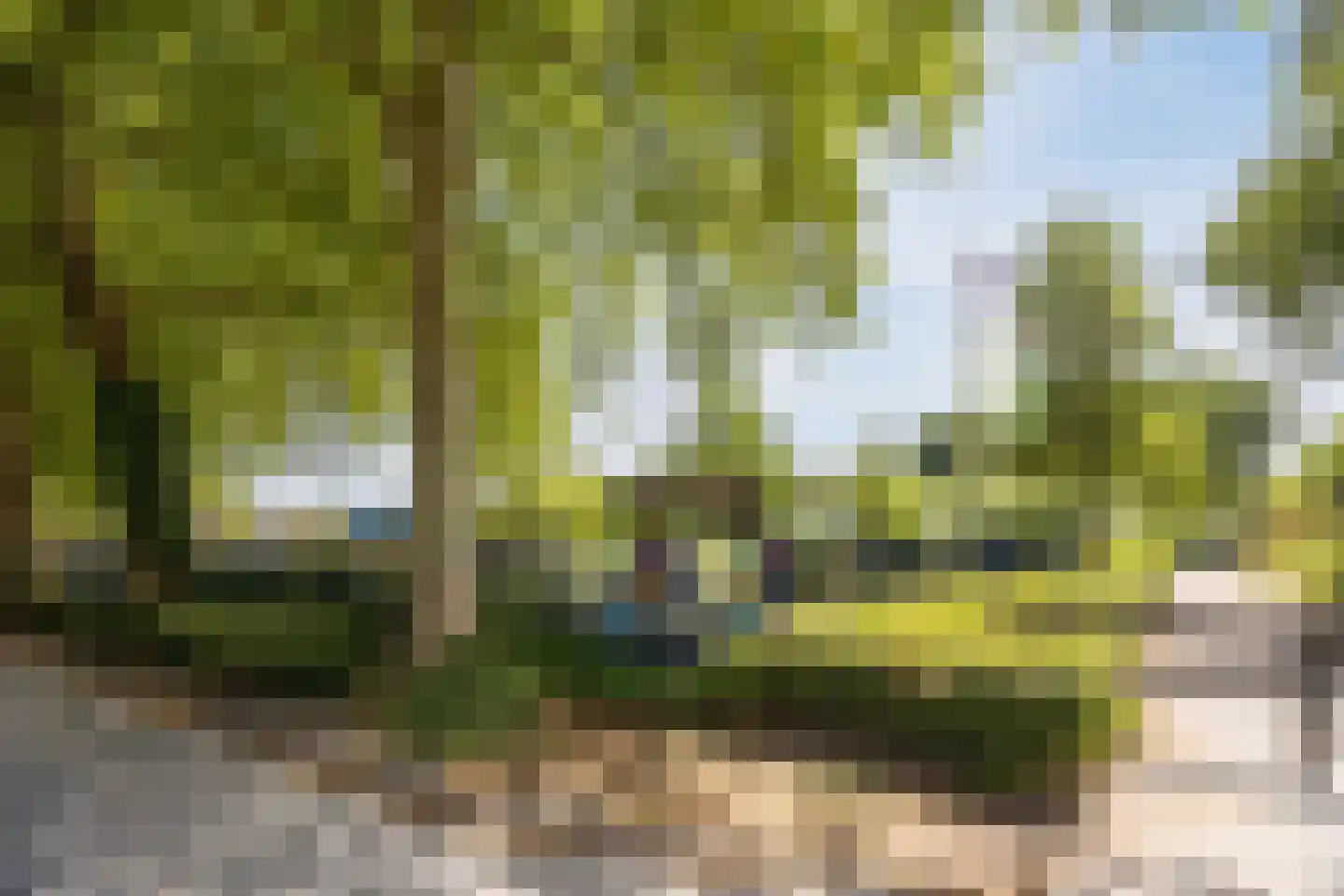 Eenlandsweg 46 Halsteren thumbnail 47