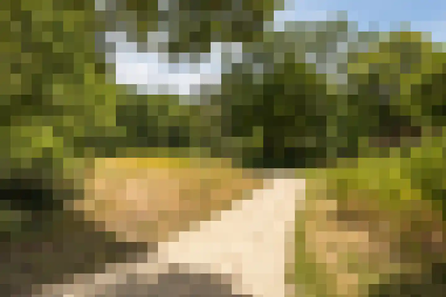 Eenlandsweg 46 Halsteren thumbnail 49