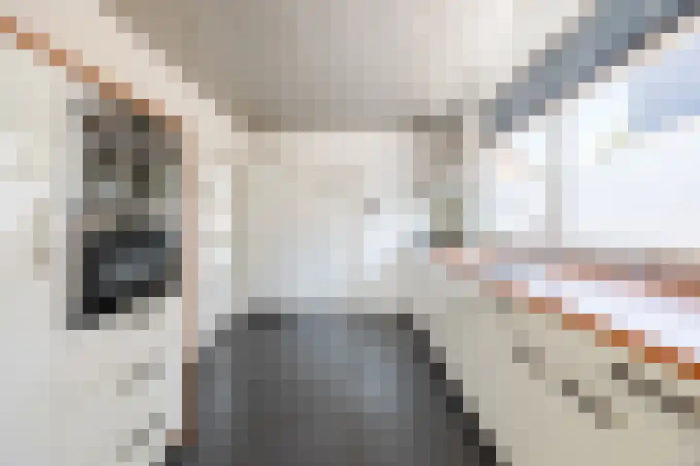 Eenlandsweg 46 Halsteren thumbnail 7