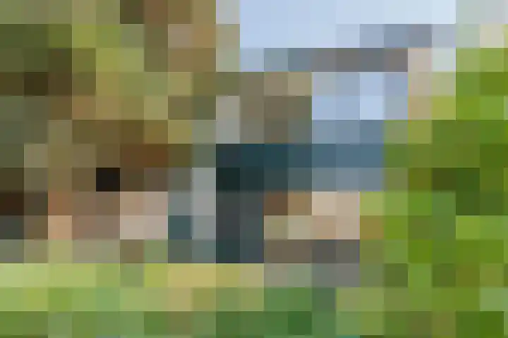 Eenlandsweg 86 en Halsteren
