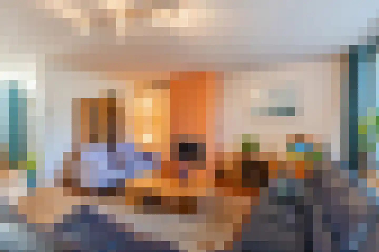 Eenlandsweg 86 Halsteren thumbnail 13