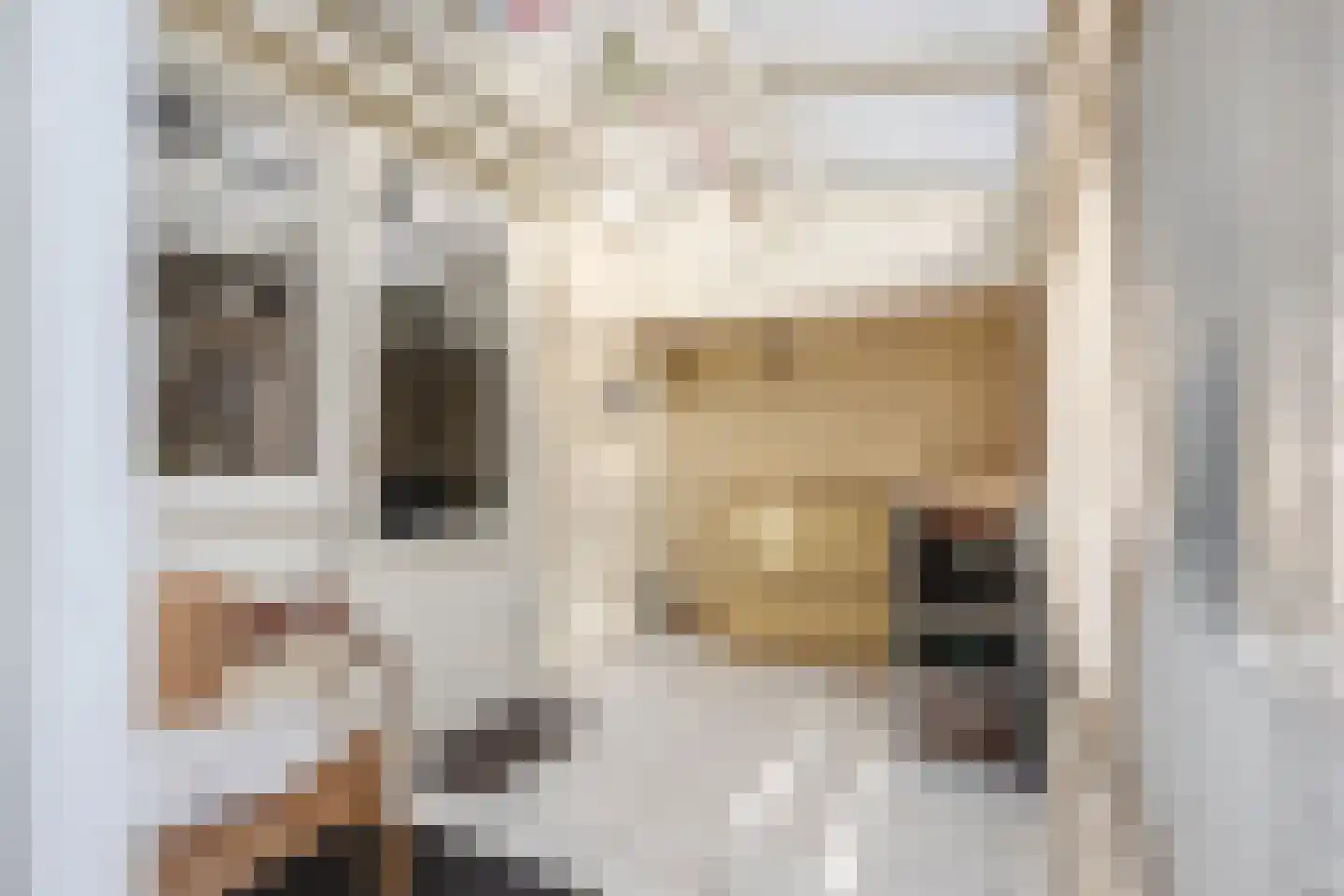 Eenlandsweg 86 Halsteren thumbnail 20