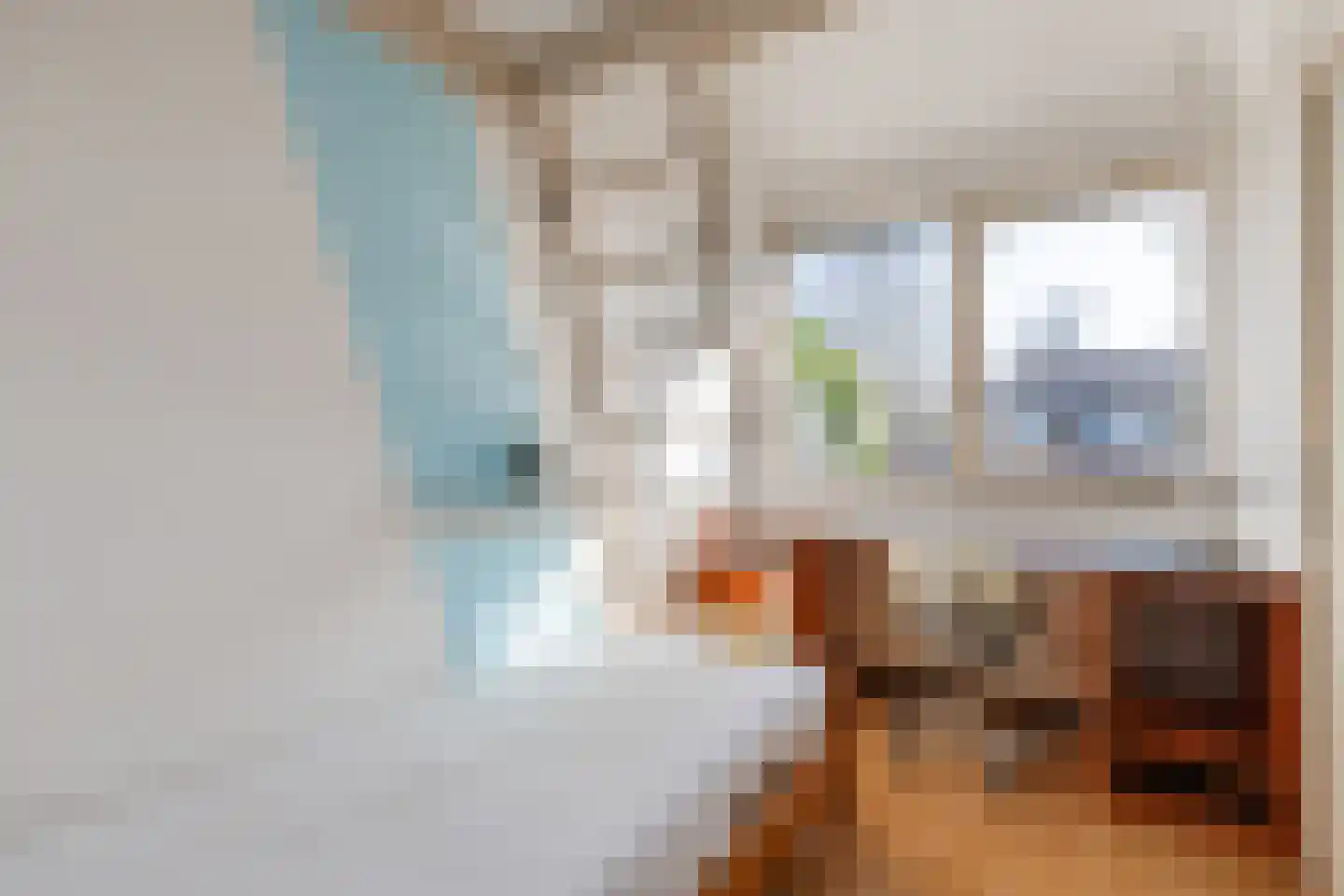 Eenlandsweg 86 Halsteren thumbnail 28