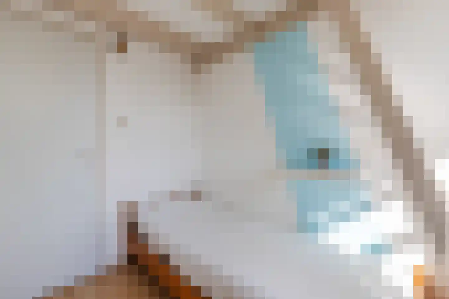 Eenlandsweg 86 Halsteren thumbnail 29