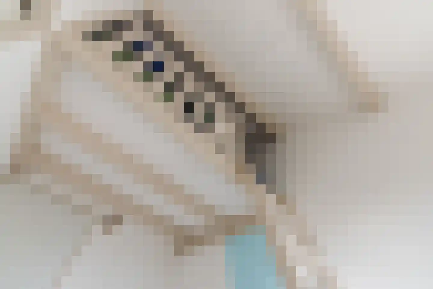 Eenlandsweg 86 Halsteren thumbnail 30