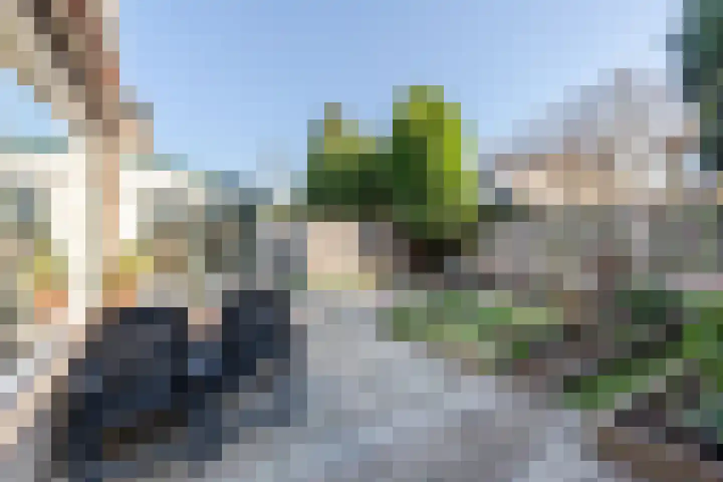 Eenlandsweg 86 Halsteren thumbnail 42