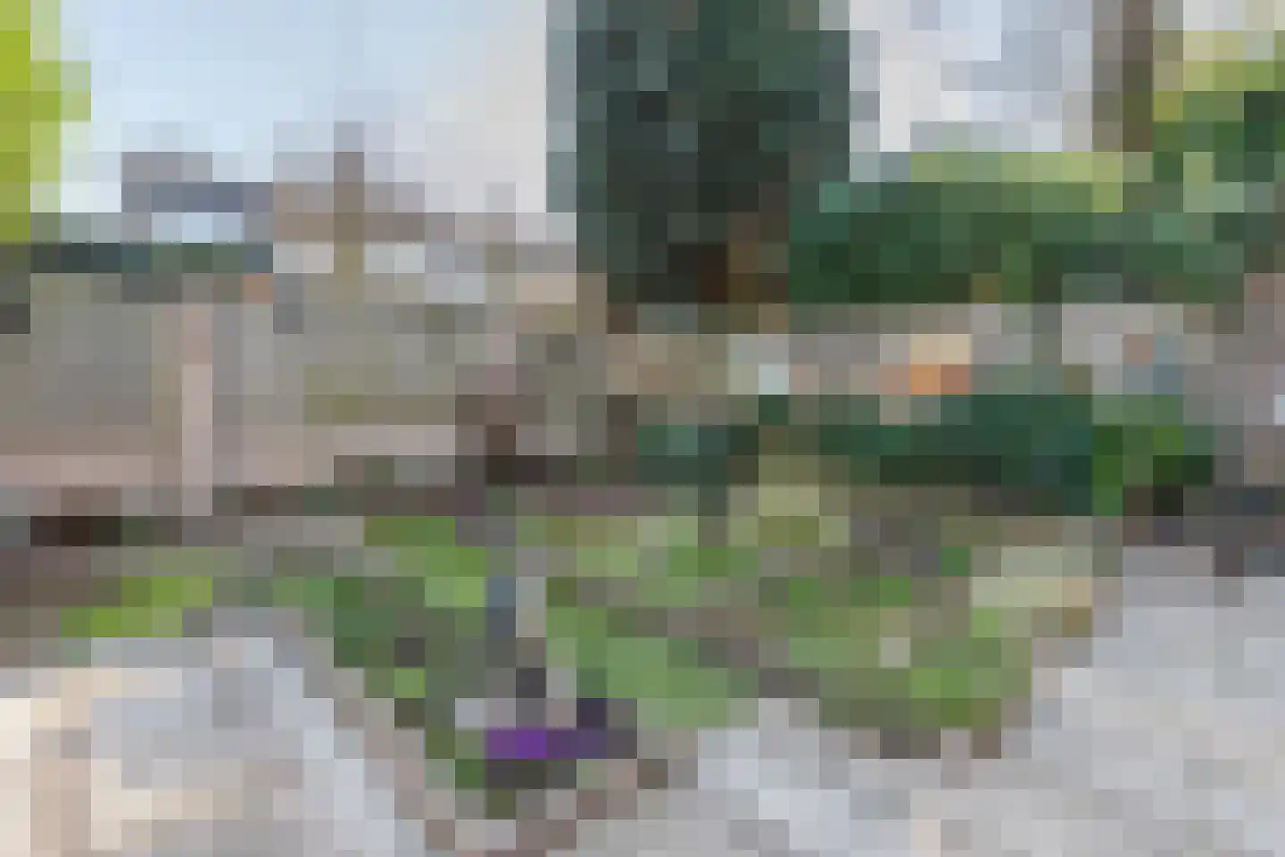 Eenlandsweg 86 Halsteren thumbnail 43