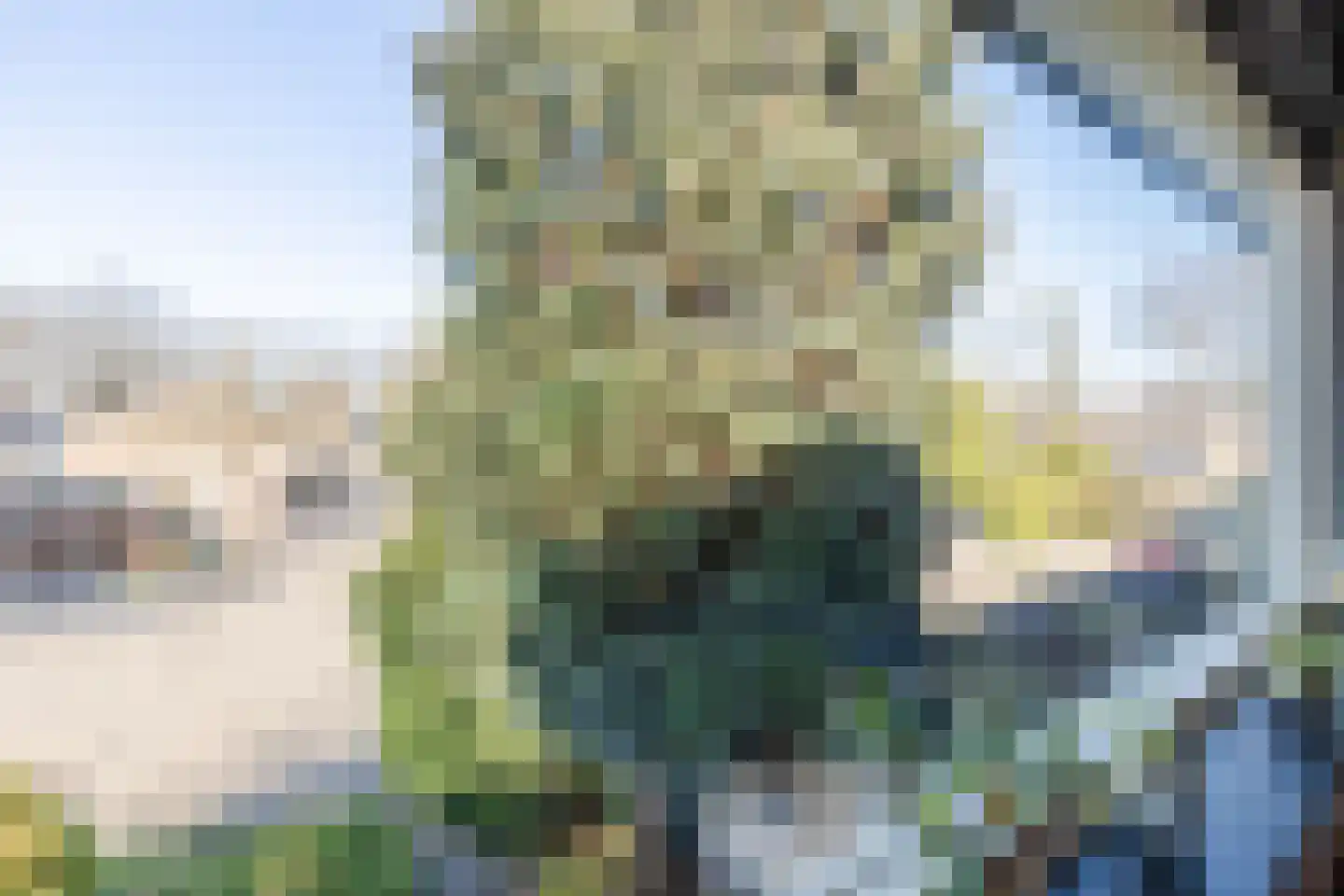 Eenlandsweg 86 Halsteren thumbnail 49
