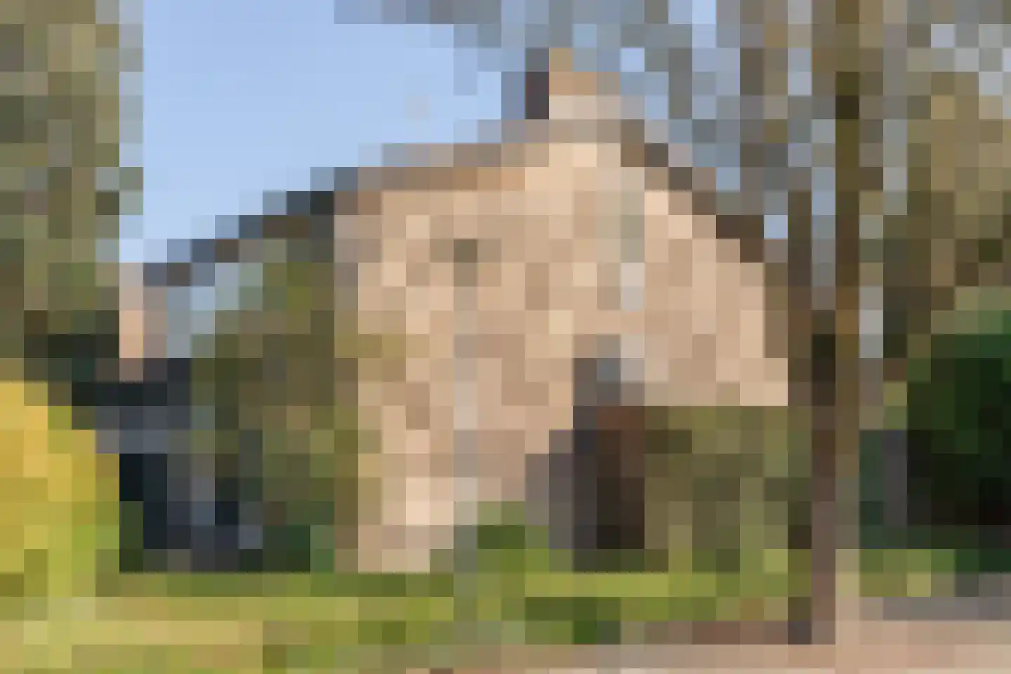 Eenlandsweg 86 Halsteren thumbnail 49