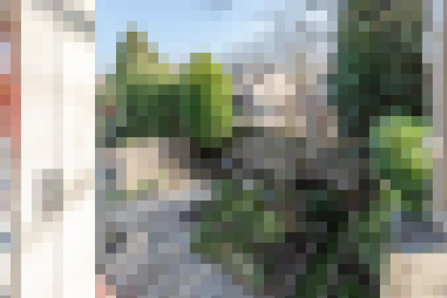 Eenlandsweg 86 Halsteren thumbnail 50