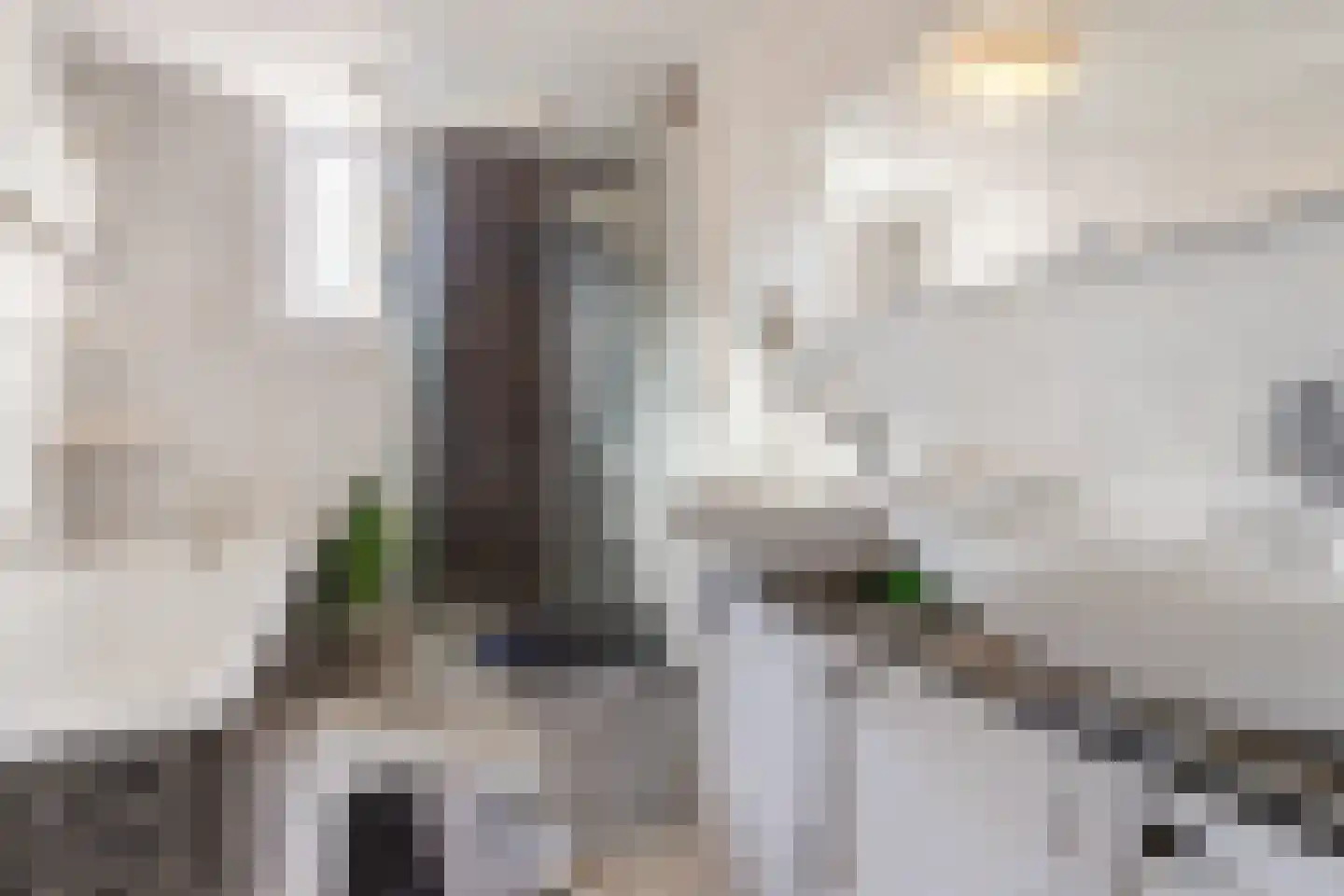 Eenlandsweg 86 Halsteren thumbnail 6