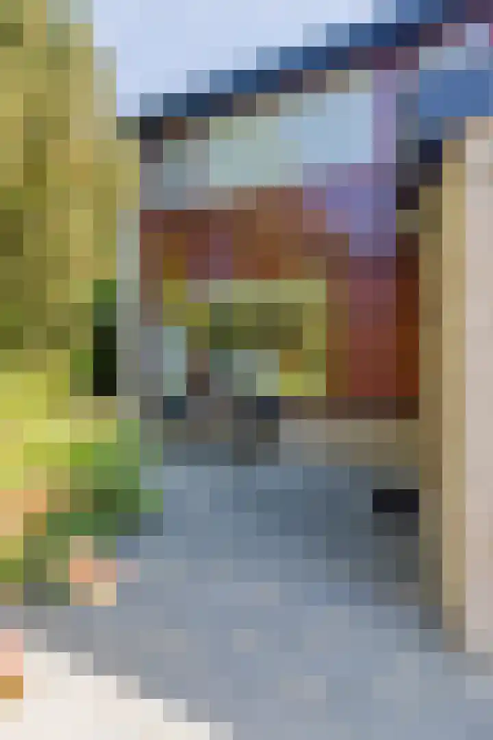 Eenlandsweg 92 Halsteren thumbnail 10