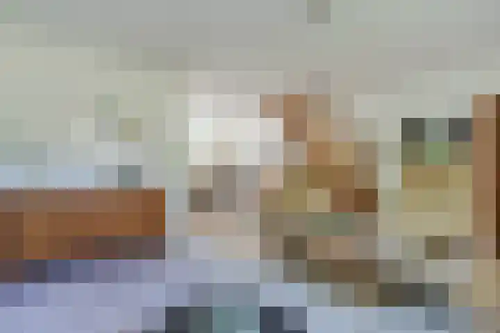 Eenlandsweg 92 Halsteren thumbnail 11