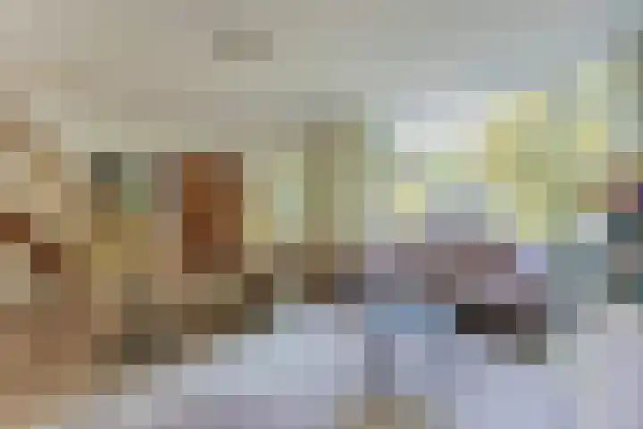 Eenlandsweg 92 Halsteren thumbnail 12