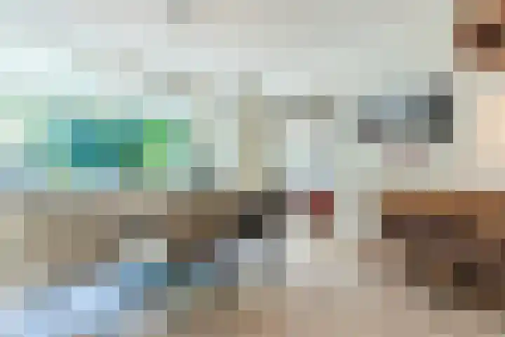 Eenlandsweg 92 Halsteren thumbnail 15