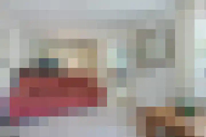 Eenlandsweg 92 Halsteren thumbnail 17