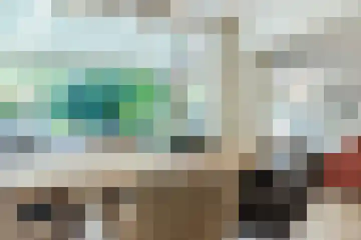 Eenlandsweg 92 Halsteren thumbnail 20