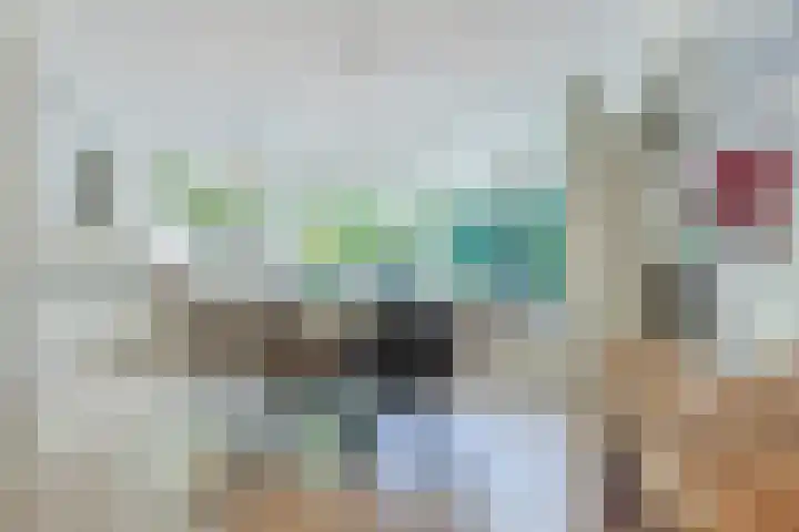 Eenlandsweg 92 Halsteren thumbnail 21