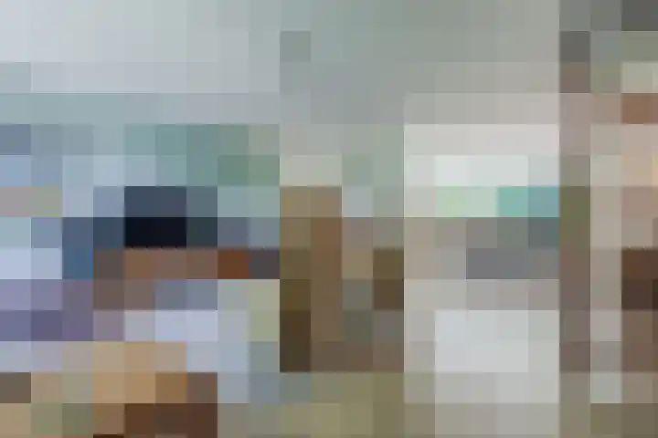 Eenlandsweg 92 Halsteren thumbnail 22