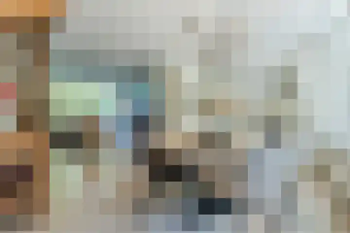 Eenlandsweg 92 Halsteren thumbnail 23