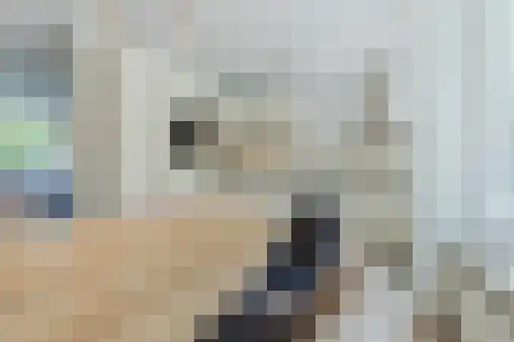 Eenlandsweg 92 Halsteren thumbnail 24