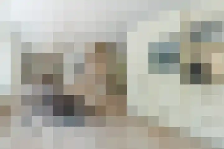 Eenlandsweg 92 Halsteren thumbnail 25