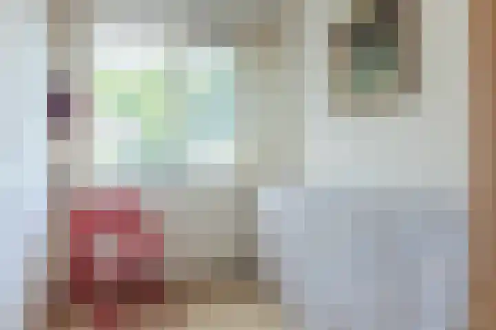 Eenlandsweg 92 Halsteren thumbnail 29