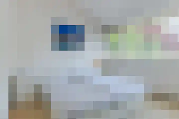 Eenlandsweg 92 Halsteren thumbnail 31