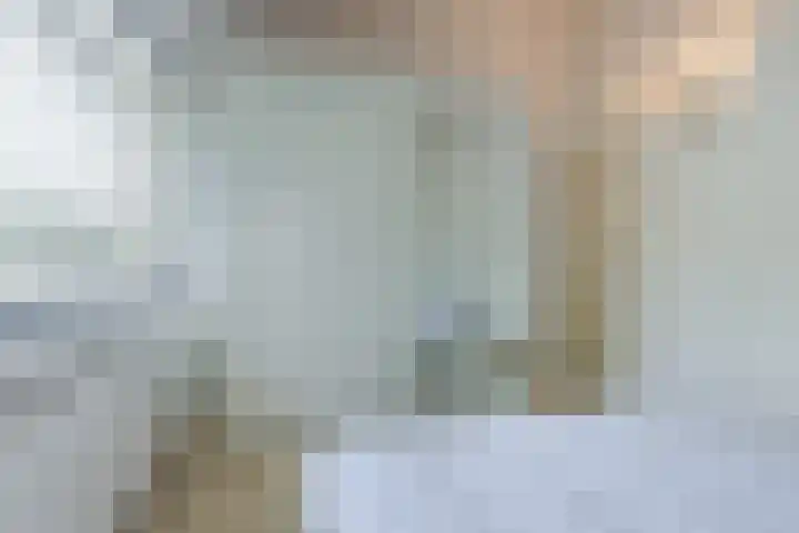 Eenlandsweg 92 Halsteren thumbnail 32