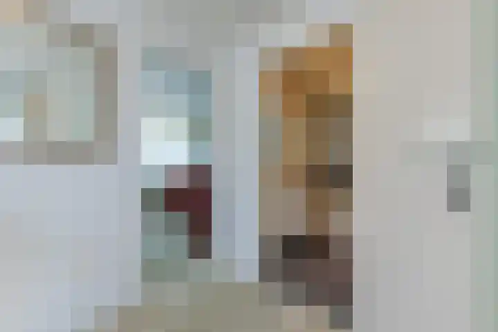 Eenlandsweg 92 Halsteren thumbnail 36