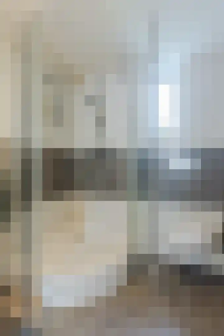 Eenlandsweg 92 Halsteren thumbnail 39