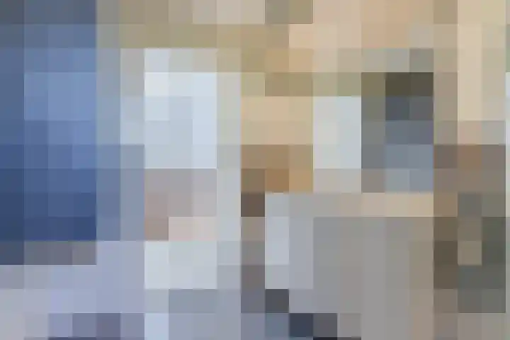 Eenlandsweg 92 Halsteren thumbnail 41