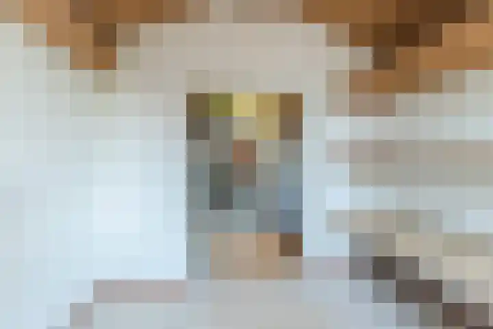 Eenlandsweg 92 Halsteren thumbnail 42