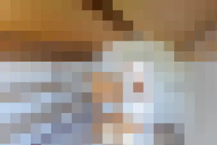 Eenlandsweg 92 Halsteren thumbnail 43