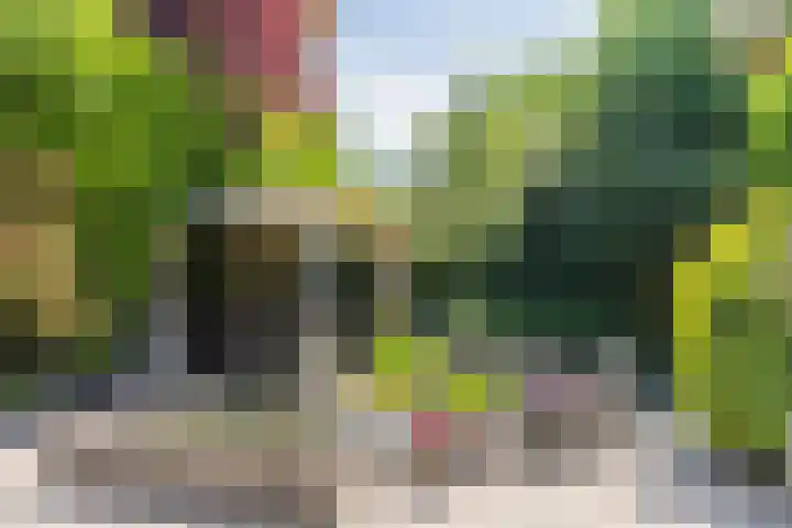 Eenlandsweg 92 Halsteren thumbnail 49