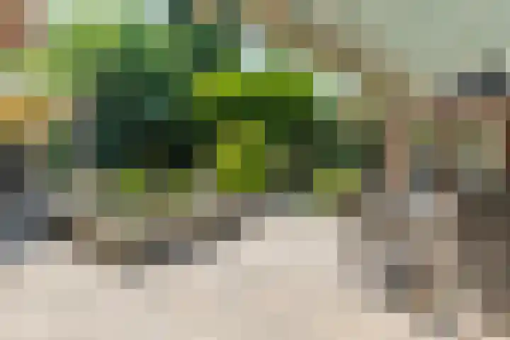 Eenlandsweg 92 Halsteren thumbnail 5
