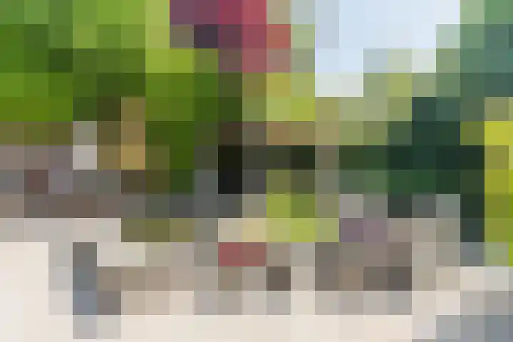 Eenlandsweg 92 Halsteren thumbnail 50