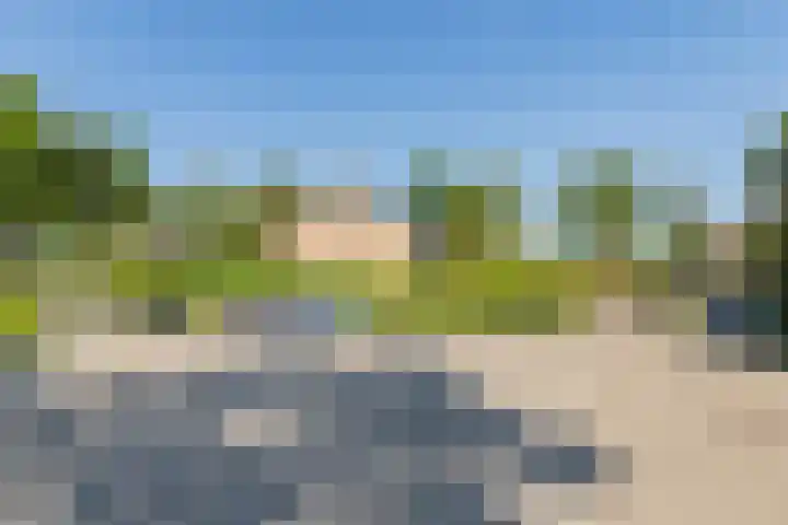 Eenlandsweg 92 Halsteren thumbnail 52