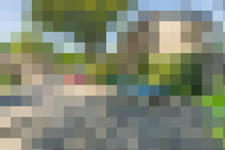 Eenlandsweg 92 Halsteren thumbnail 53