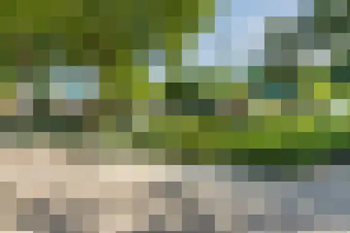 Eenlandsweg 92 Halsteren thumbnail 56